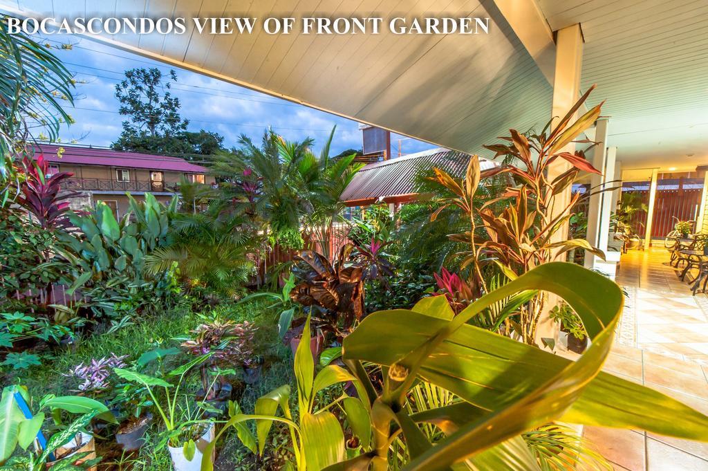 Aqua Point Condos Rentals Bocas del Toro Exterior foto