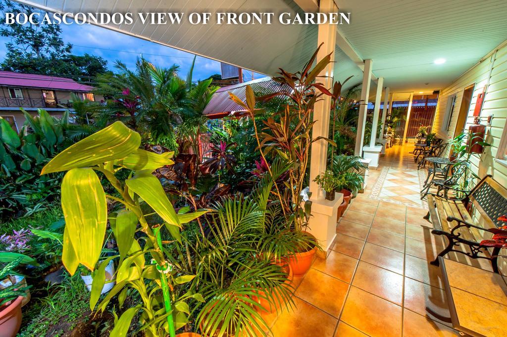 Aqua Point Condos Rentals Bocas del Toro Exterior foto