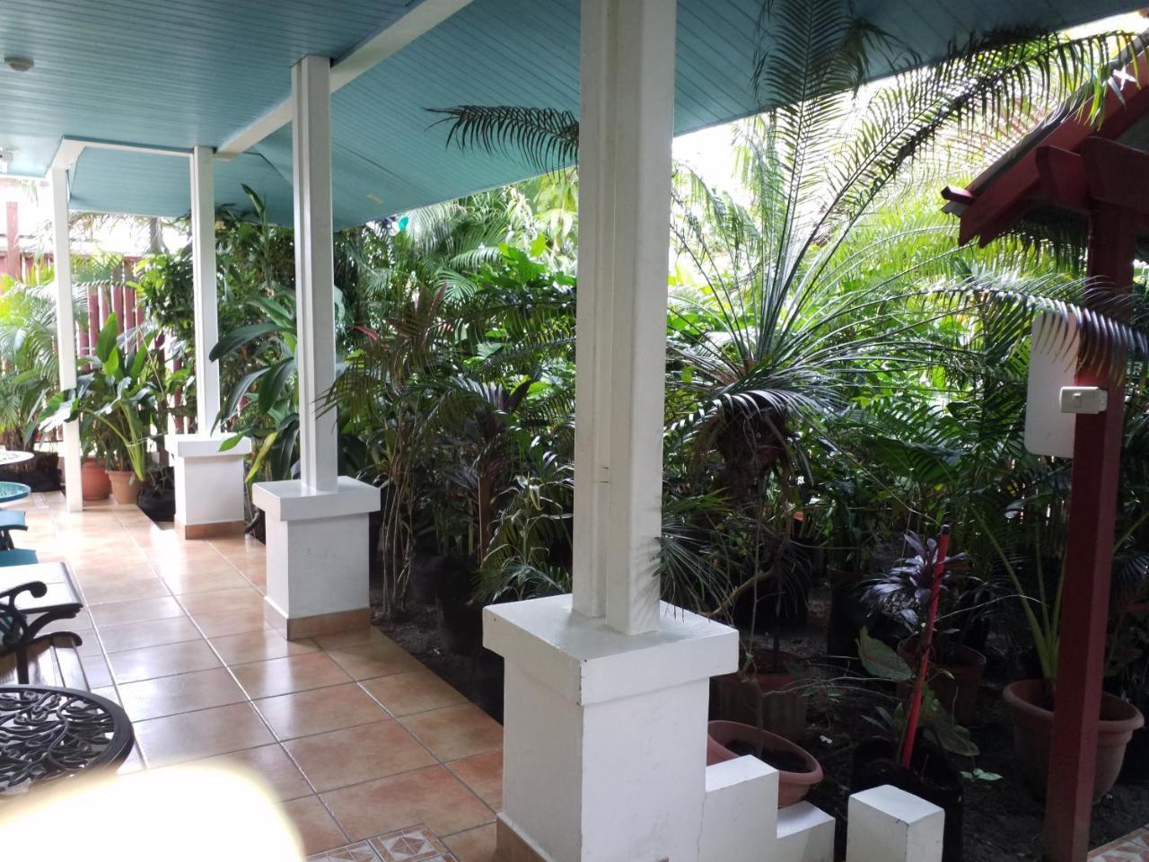 Aqua Point Condos Rentals Bocas del Toro Exterior foto