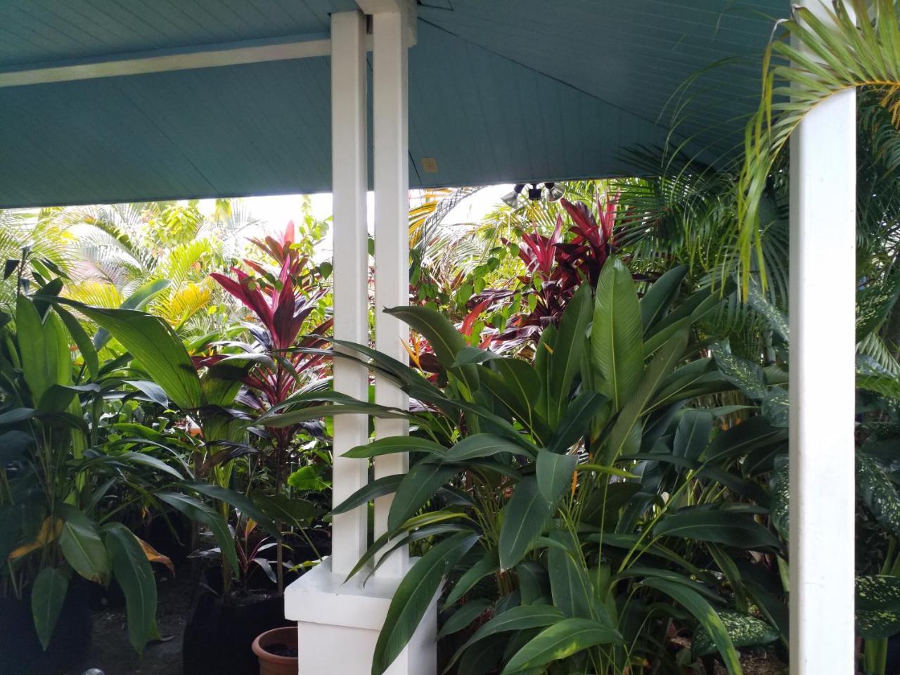 Aqua Point Condos Rentals Bocas del Toro Exterior foto